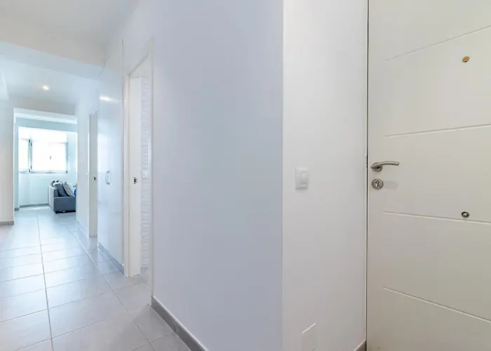 Breezy Bright Urban Oasis